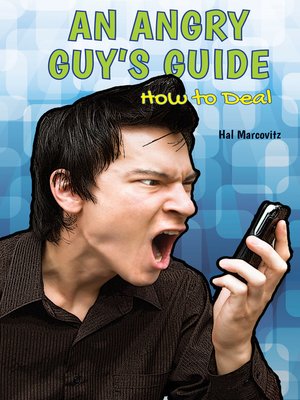 cover image of An Angry Guy's Guide